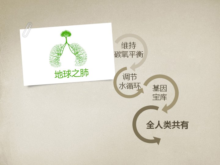 第 20 页缩略图