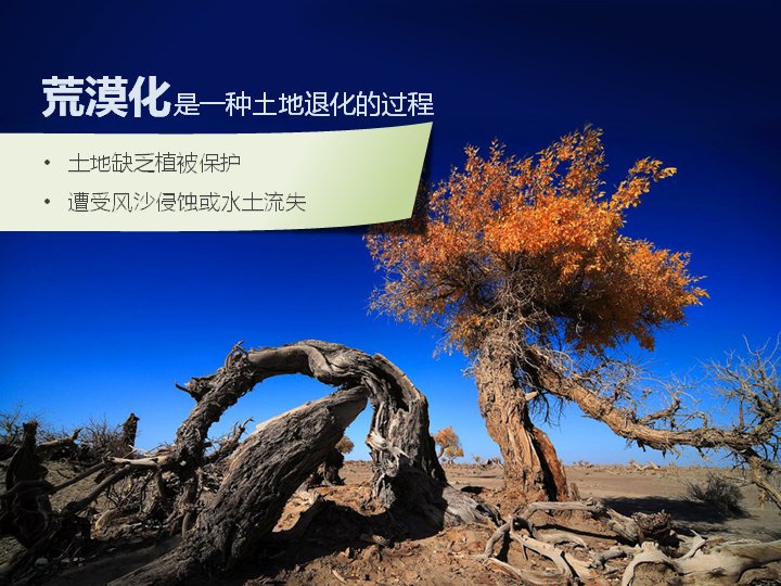 第 3 页缩略图