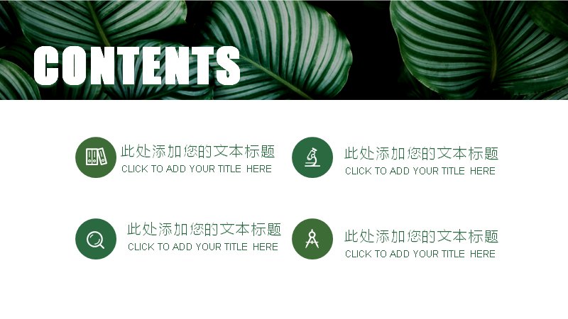 第 2 页缩略图