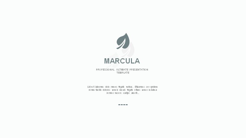 MARCULA银灰极简商务PPT模板（100页图表与信息图版式）预览