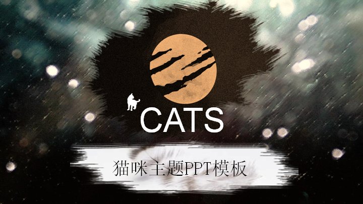 CATS猫咪主题暗调摄影PPT模板（20页图文书版式）预览