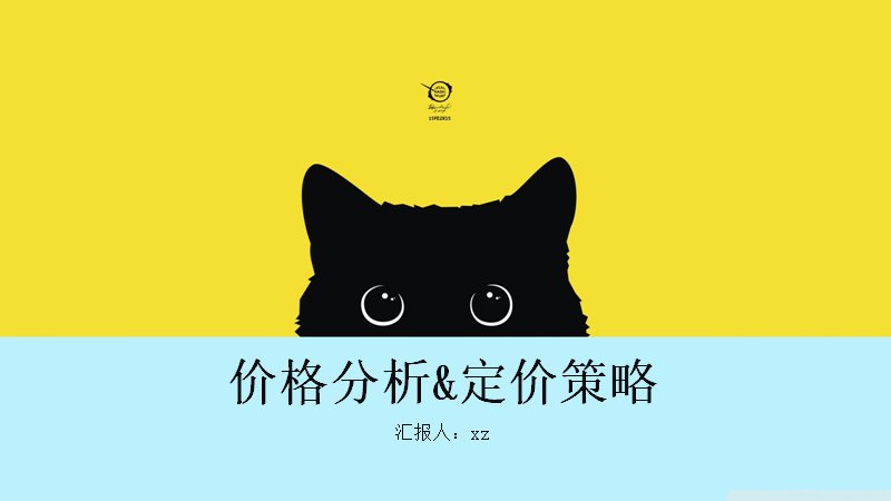 价格分析与定价策略PPT模板（20页黑猫剪影商务课件）预览