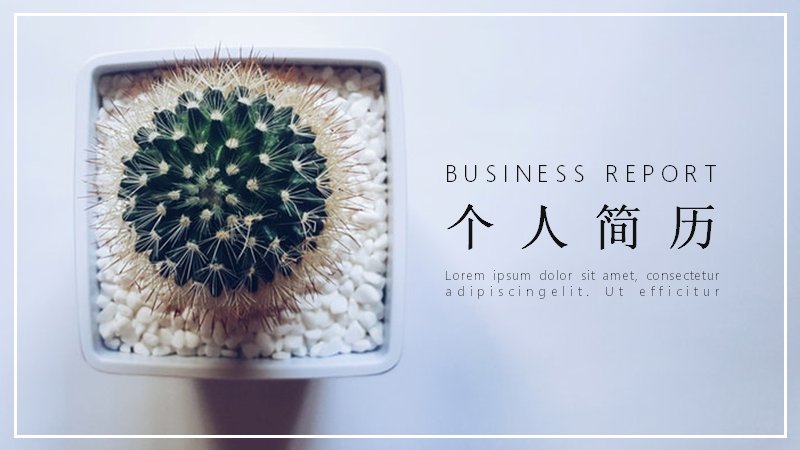 清新多肉绿植个人简历PPT模板（24页含数据图示版式）预览