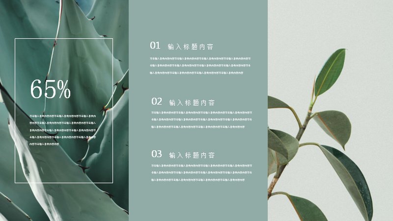 第 22 页缩略图