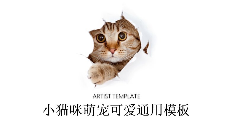 小猫咪萌宠可爱通用PPT模板（18页实拍猫咪版式）预览