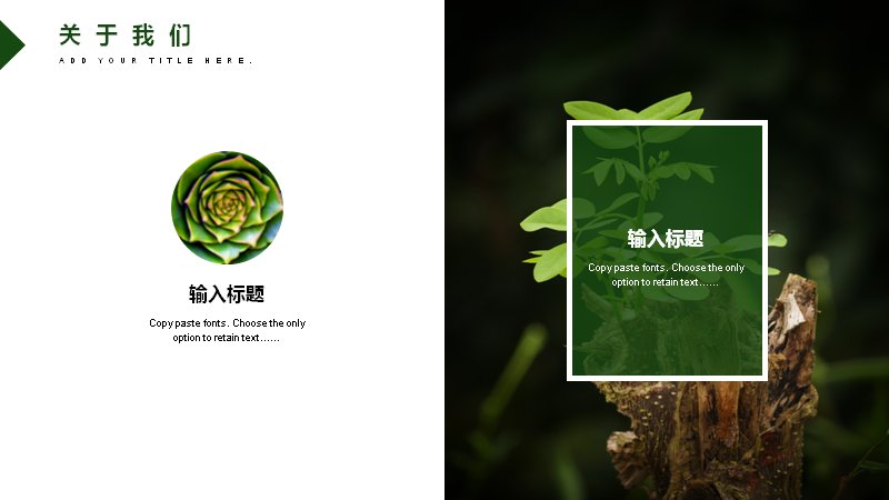 第 4 页缩略图