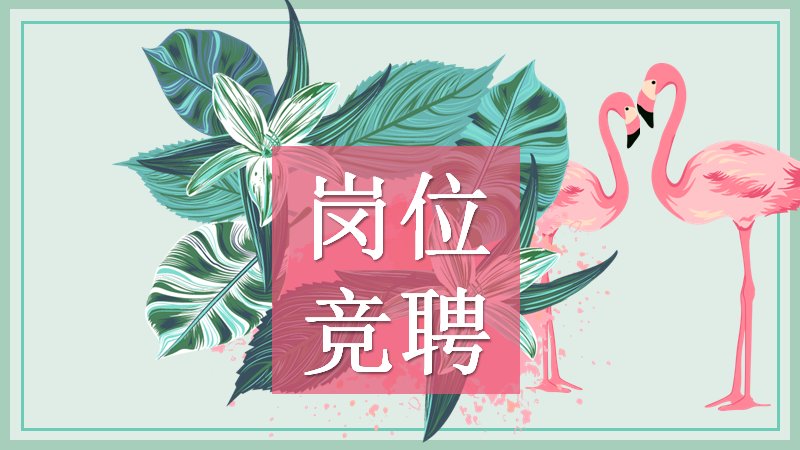 简约绿粉岗位竞聘PPT模板（24页热带风版式）预览