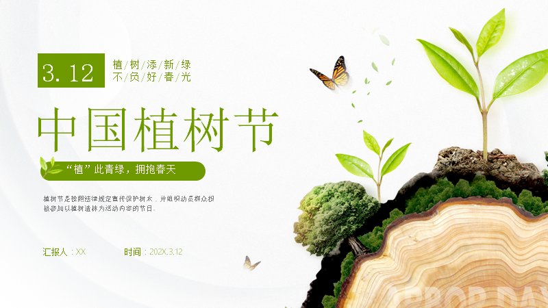 中国植树节知识科普PPT模板32页清新绿植实景风预览