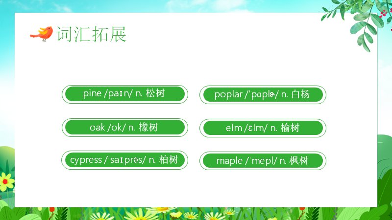 第 13 页缩略图