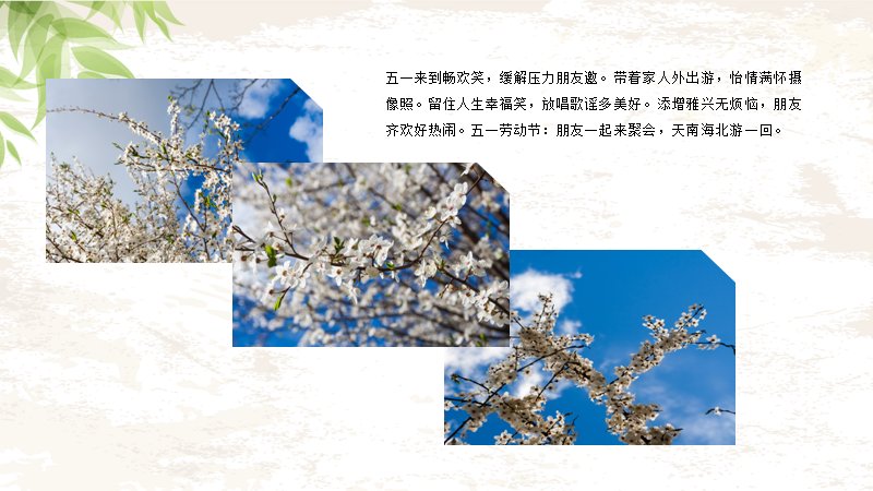 第 20 页缩略图
