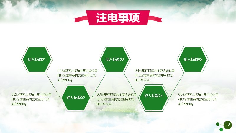 第 13 页缩略图