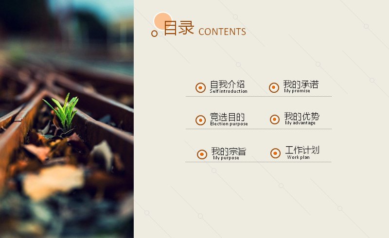 第 2 页缩略图