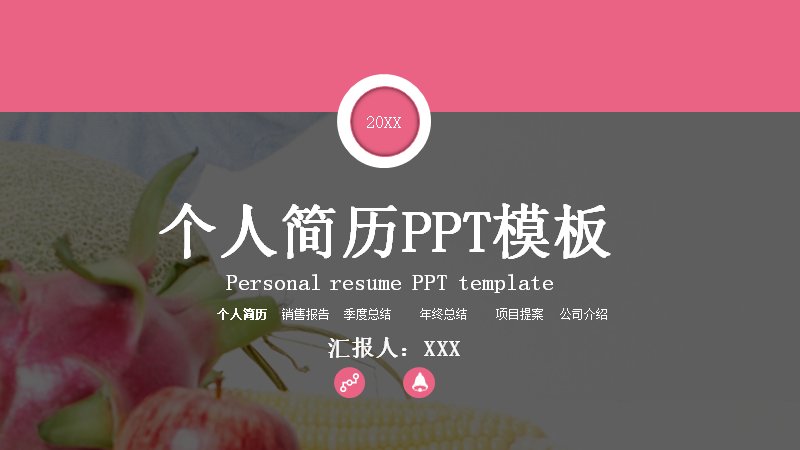 个人简历PPT模板24页 玫红灰调飞机剖面与横向条形图版式预览
