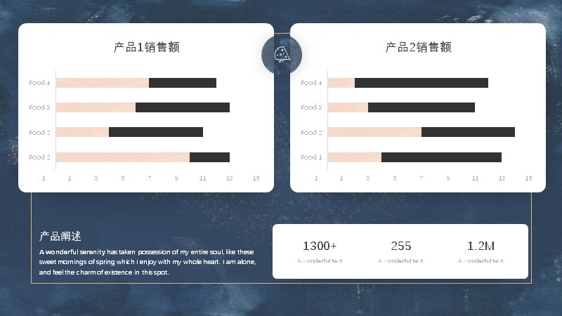 第 13 页缩略图