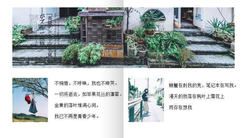 第 12 页缩略图