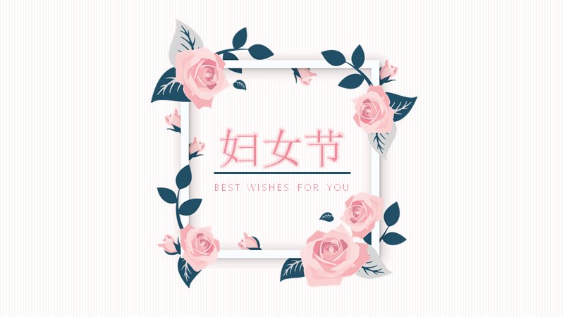 妇女节主题PPT模板（27页玫瑰花卉方框版式）预览