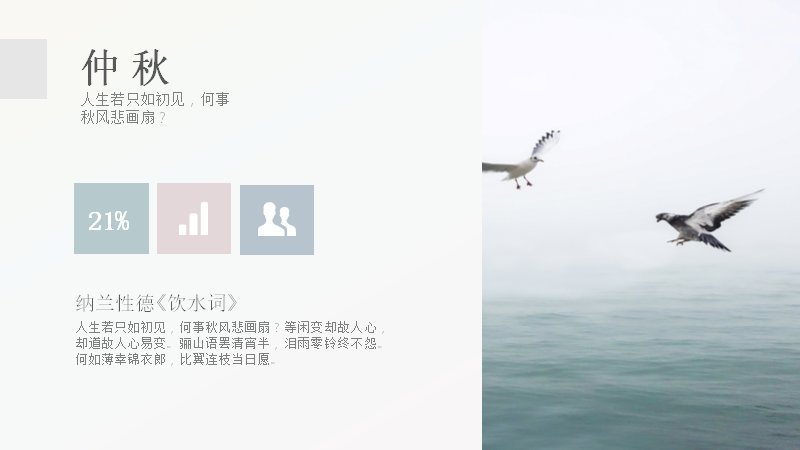 第 12 页缩略图