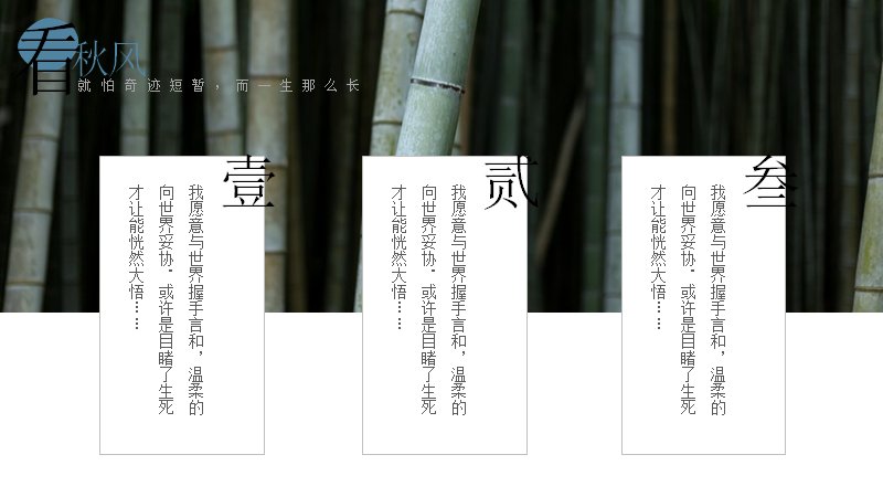 第 17 页缩略图
