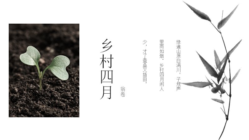 第 12 页缩略图