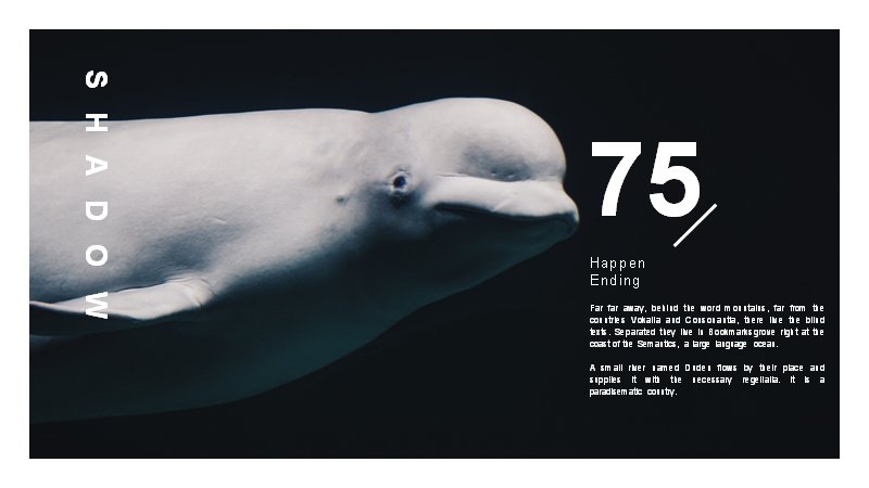 第 18 页缩略图