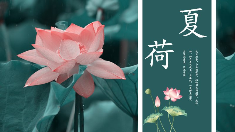夏荷PPT模板（24页深绿荷花诗词版式）预览