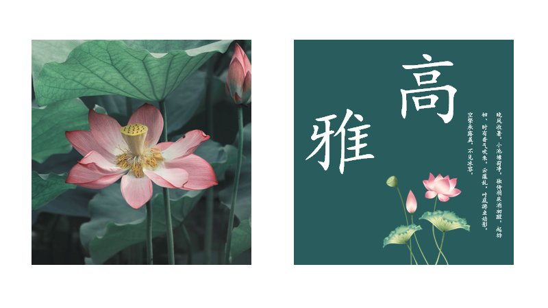 第 12 页缩略图