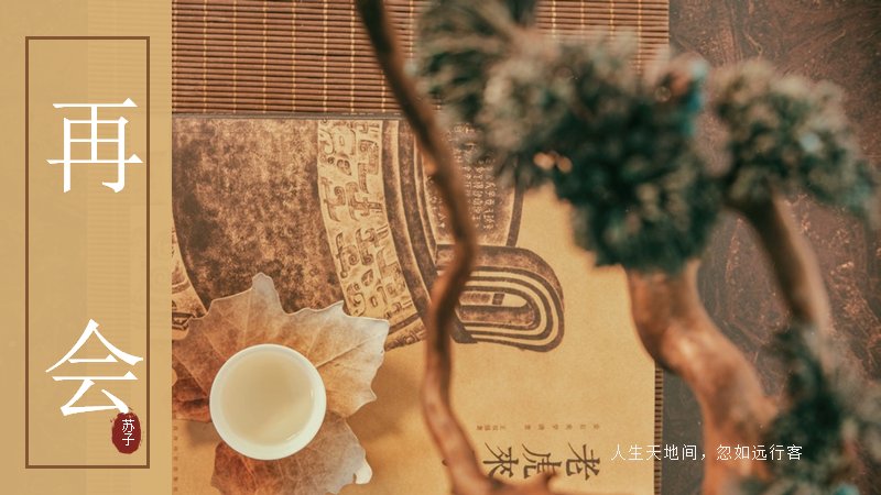 第 24 页缩略图