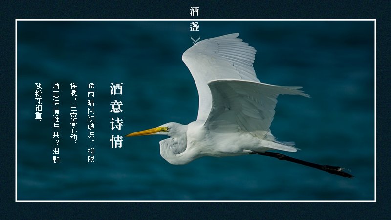 第 11 页缩略图