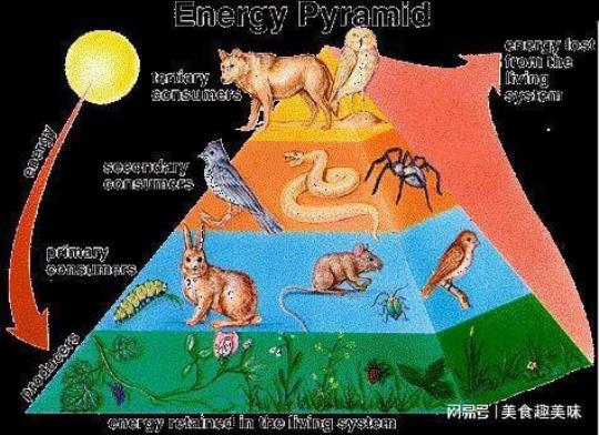世界万物相生相克所有事物都有惧怕的东西  世界万物相生相克谁提出来的
