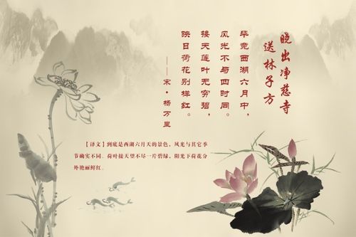 描写莲花寓意好的的古诗词 关于描写莲花的诗句古诗