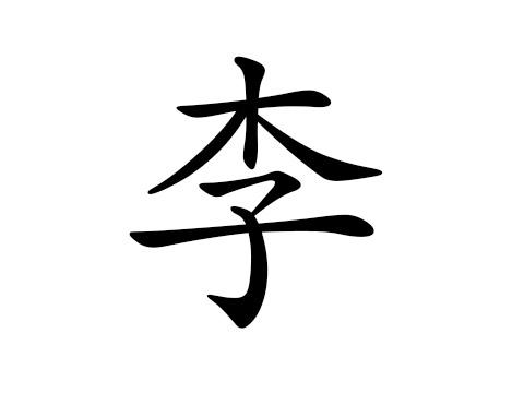 姓李名言警句的名字 关于姓李的名言警句