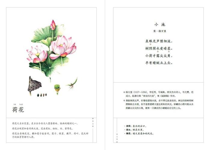 适合婴幼儿读的古诗词 适合婴幼儿听的古诗词