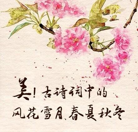 古诗词之美音韵美 诗歌是一种抒情言志的文学体裁