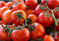八种公认最有效的美白蔬菜  大白菜 西红柿