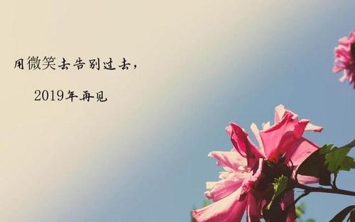 2020我来了唯美句子 2020祝福新人的唯美句子