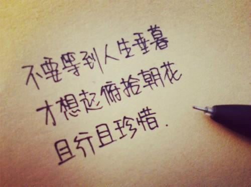 珍惜同事的句子唯美 不管未来有多遥远，成长的路上有你有我