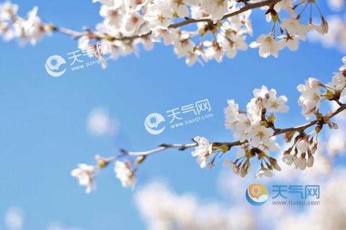形容冬去春来的优美句子 形容冬去春来的优美句子有哪些