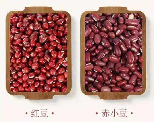 红小豆的功效  红小豆功效作用与主治
