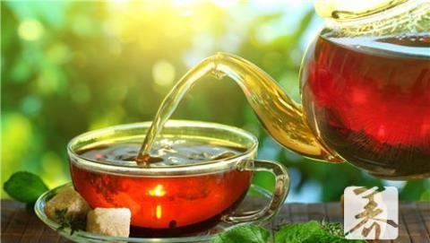 普洱茶怎么喝 普洱茶怎么泡才正确方法视频
