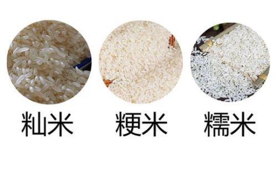 粳米和糯米的区别