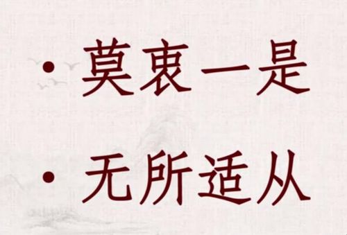 无所适从是什么意思呢