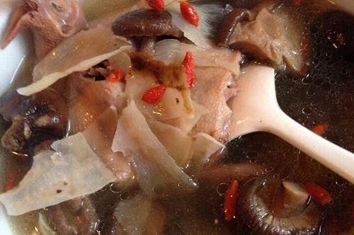 天麻鸽子汤的做法 天麻的功效与作用吃法及禁忌