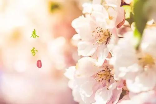 关于祝福大家春分节气的唯美句子大全 关于祝福大家的语句