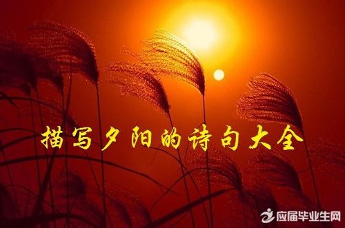 关于风景的诗句合集(实用) 关于风景诗句描写山
