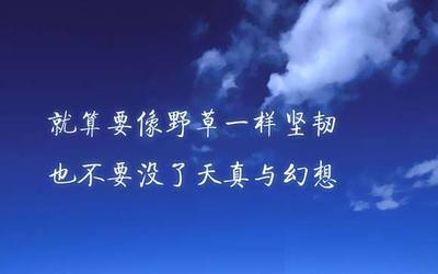 关于15句优美句子大全