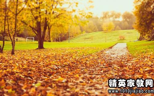 关于描写秋天景色优美句子带批注大全 关于描写秋天的诗句古诗