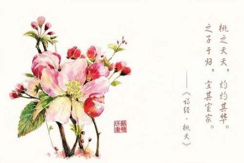 关于诗经桃花的诗句合集(实用) 诗经中写桃花的诗