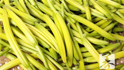 黄花菜的做法 黄花菜做法视频教程