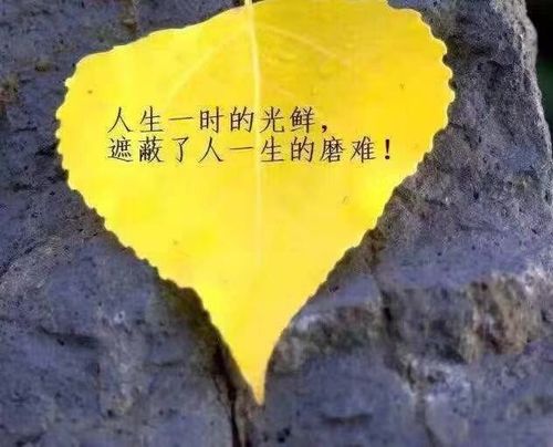 关于发朋友圈句子唯美大全 关于朋友圈句子大全