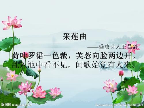 莲花的诗句与意思